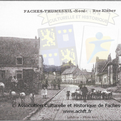 ACHFT_T3_P15_1.JPG
