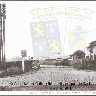 ACHFT_T3_P21_2.JPG