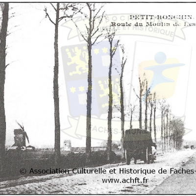 ACHFT_T3_P51_1.JPG