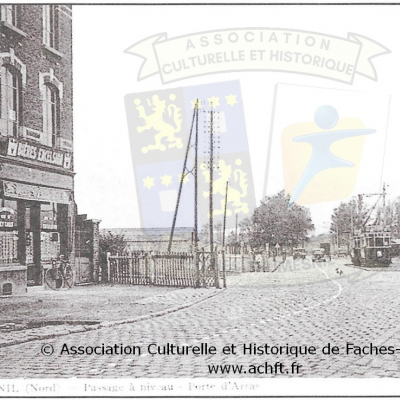 ACHFT_T3_P53_1.JPG